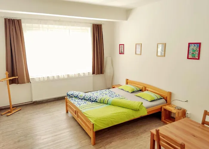 Zizkov Apartman *